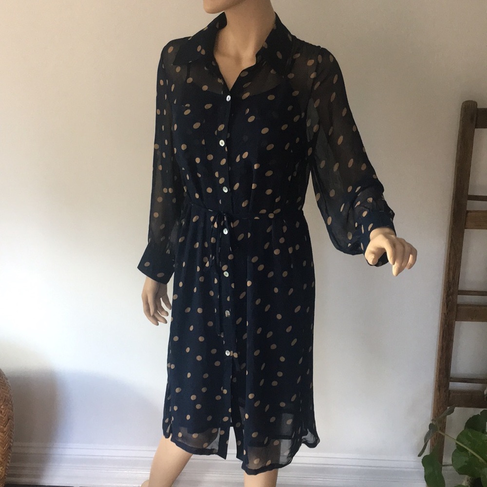 Sheer Navy Polka Dot Dress